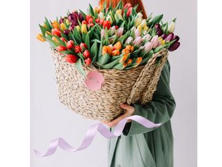 ტიტები წნული XL