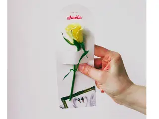 Swan Card