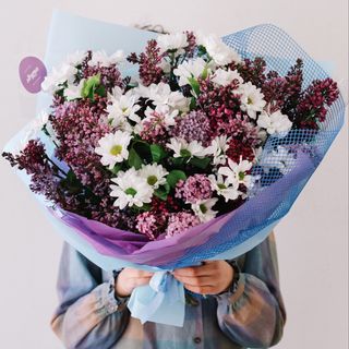 გვირილები იასამანში