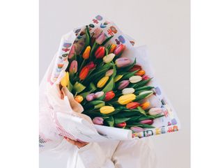 ტიტები უყვარს ( L )