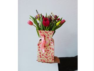 ტიტები ჩანთაში