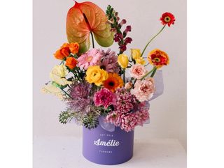 პეპლები მუცელში ( purple )