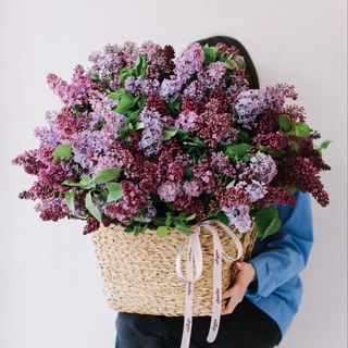 იასამანი წნულში L