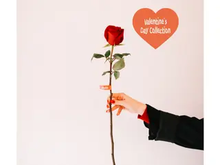 Red rose