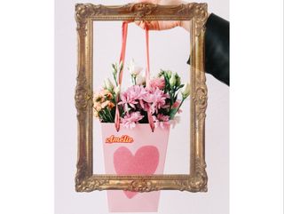 მინდვრის ჩანთა