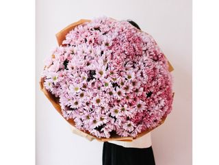 ვარდისფერი გვირილები XL