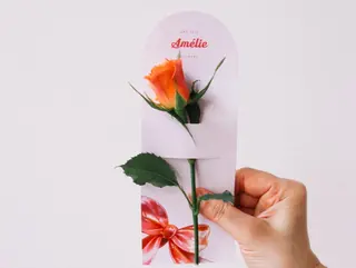 Bow card