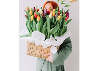 ტიტები წნულში