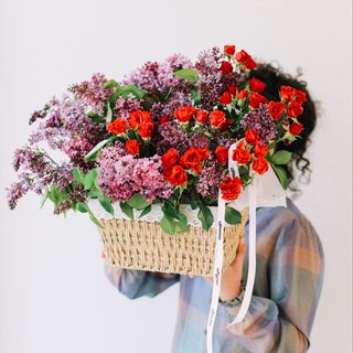 Softness