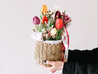 ტიტები წნულში S