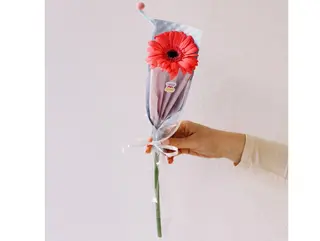 1 გერმინი