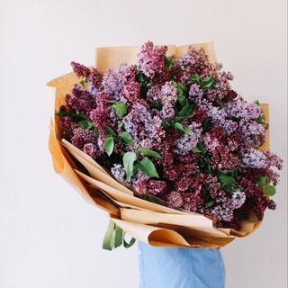 იასამანი კრაფტში L