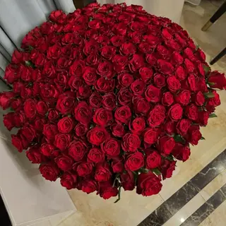 300 ვარდი