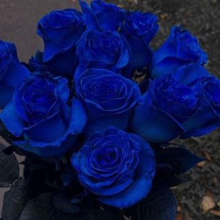 ლურჯი ვარდი 10 ცალი