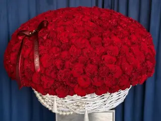 301 RED ROSE