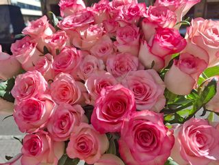 ჯუმელია