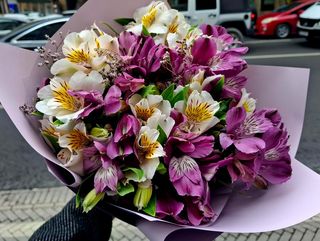 იასამნისფერი და თეთრი ასტრომერია