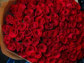 101 red rose