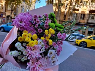 ქრიზანთემების მიქსი