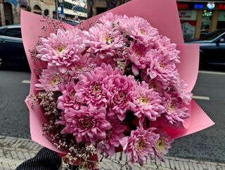 ქრიზანთემა