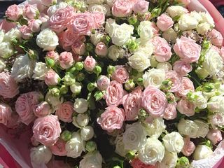 ვარდისფერი და თეთრი სპრეი ვარდები