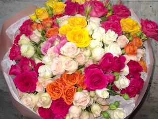 სპრეი ვარდების მიქსი