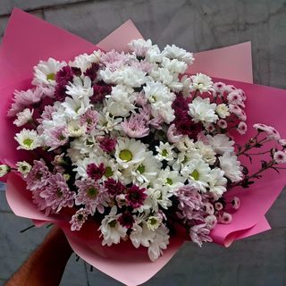 ქრიზანთემების მიქსი