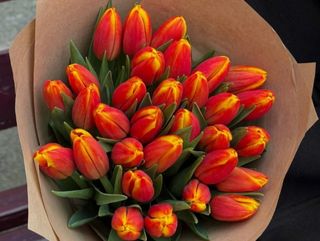 ტიტები კრაფტში