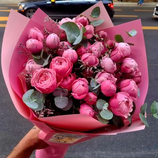 Silva pink