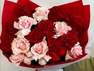 French roses
