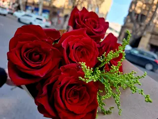 Red rose