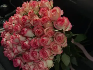 30 ჯუმელია