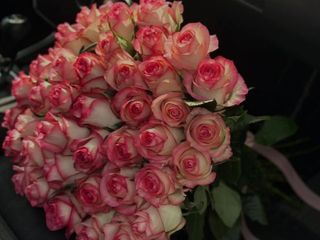 30 ჯუმელია