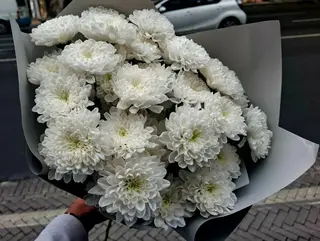 ალტაი