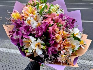 ასტრომერიების მიქსი