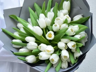 30 white tulips