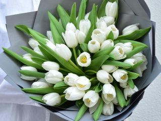 30 white tulips