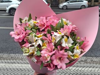 თეთრი და ვარდისფერი ასტრომერია