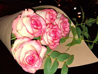 ჯუმელია 5 ცალი