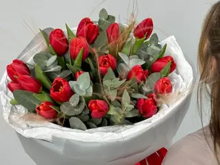 წითელი ტიტები და ევკალიპტი
