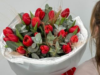 წითელი ტიტები და ევკალიპტი