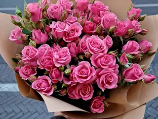 Pinke