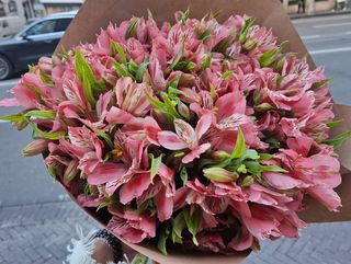 ვარდისფერი ასტრომერიების თაიგული