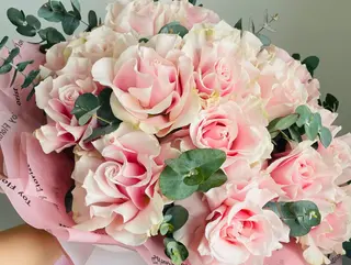 French roses pink mondial