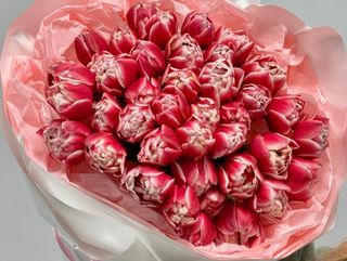 პიონისებური ტიტები