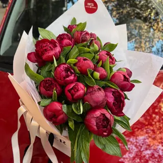 Off-season - Dutch Peonies