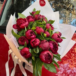 Off-season - Dutch Peonies