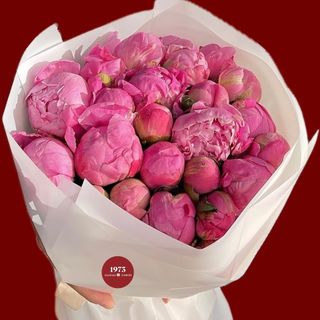 peony/პიონი