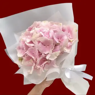 Lil' Hydrangea Hug