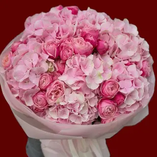 Hydrangea says it all 